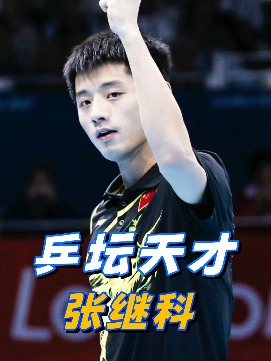 开云体育官网-瑞典乒乓球队绝杀波兰乒乓球队，张继科惊艳世界