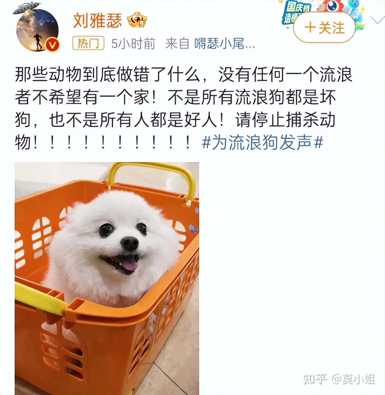 包含全球热议！冰球场外八卦引关注的词条