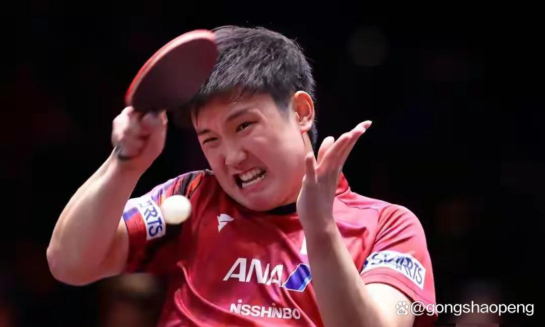 开云体育登录-日本队绝杀瑞典队，张本智和点燃赛场