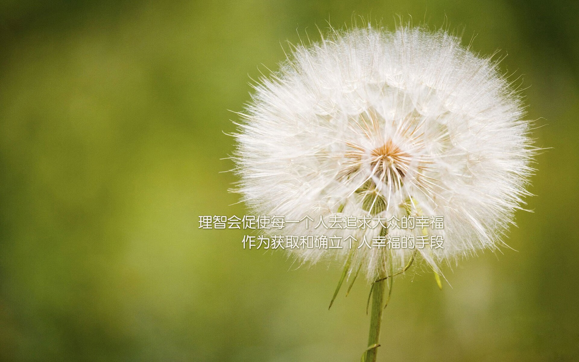 跨越太平洋的烈焰，米切尔48分助福建加时险胜独行侠