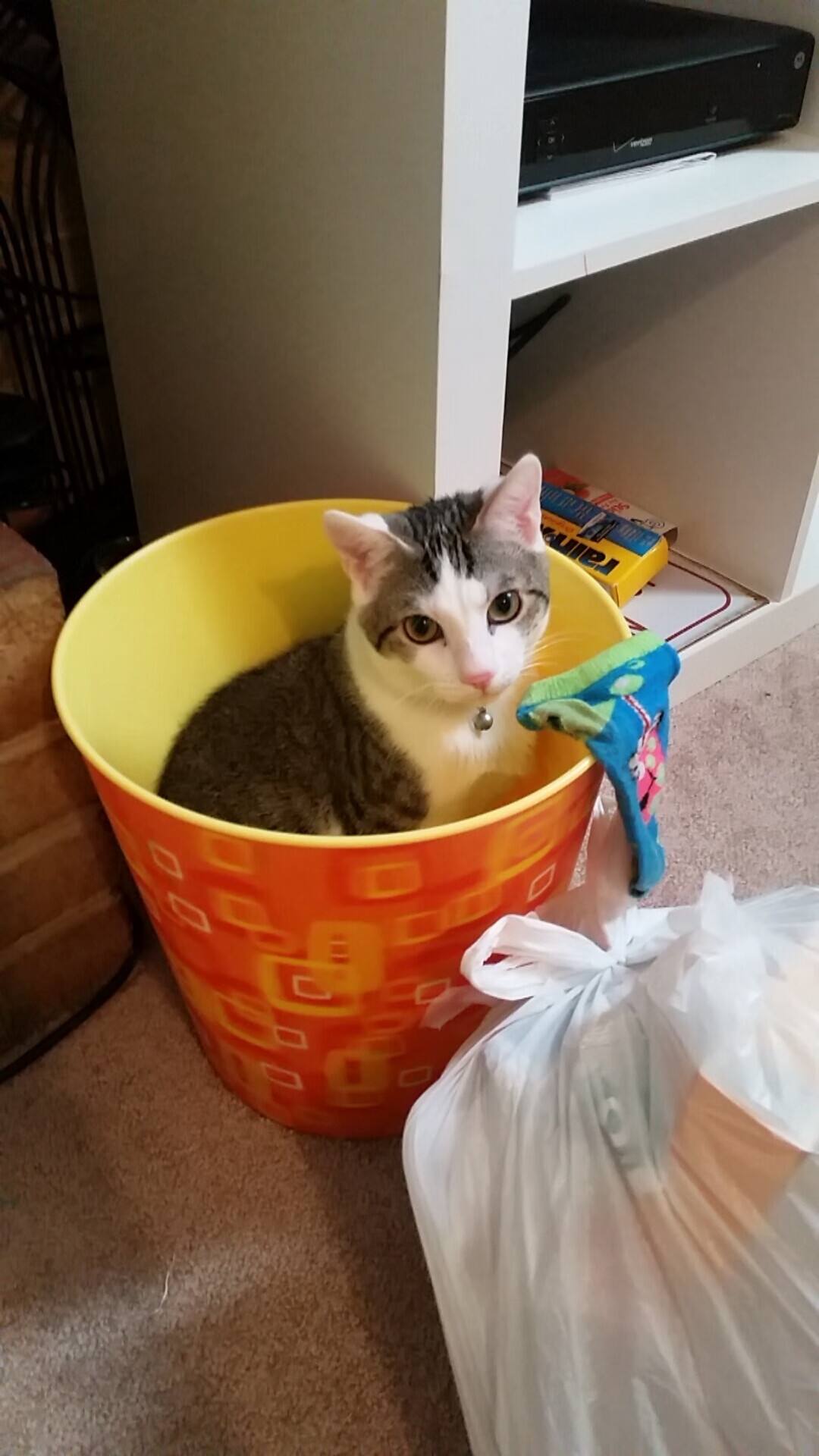 当足球场的血性缝合了篮球场的天空，摩纳哥的晋级与奥斯梅恩的跨界接管