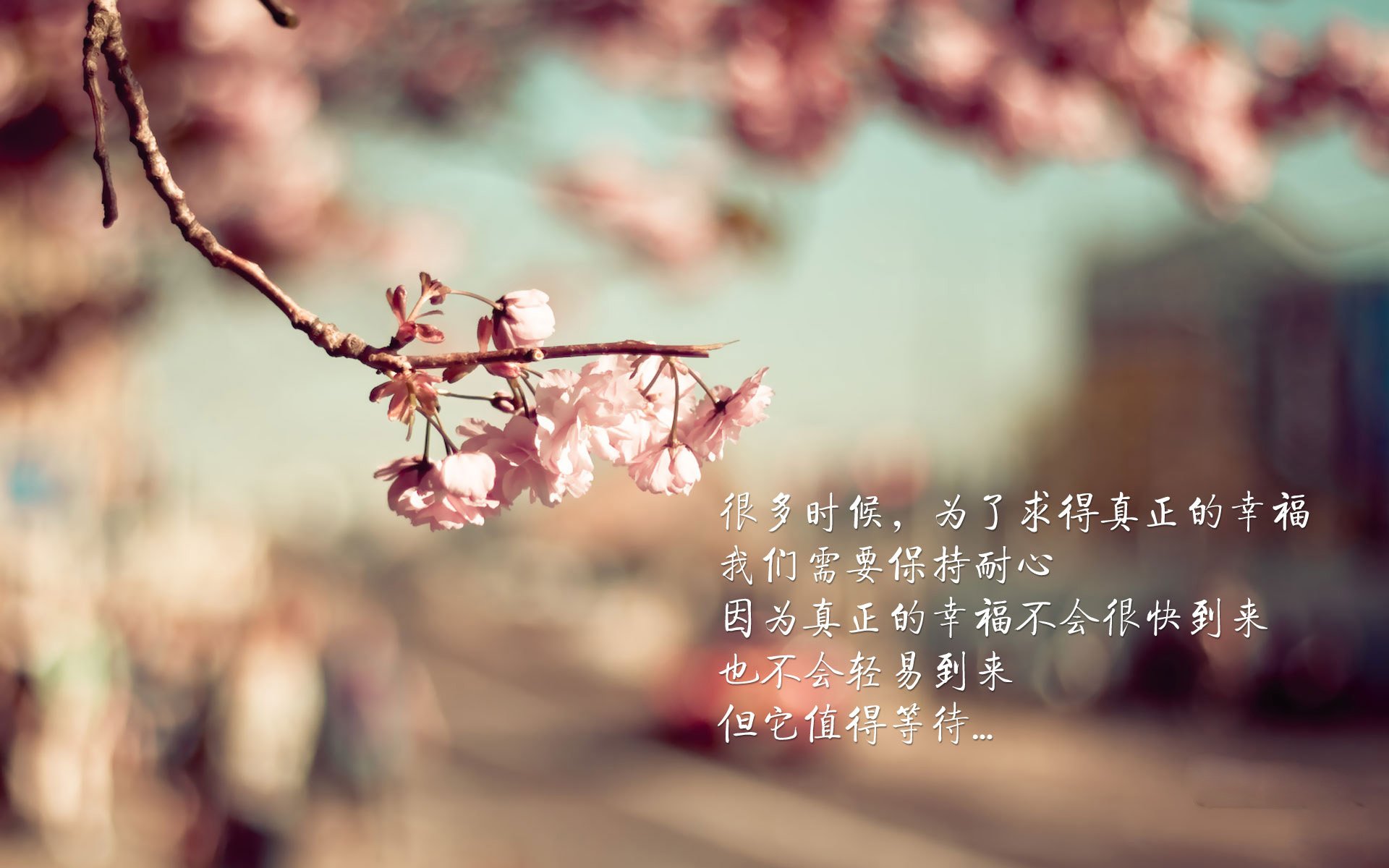 狂暴与精密仪器，德罗赞的逆焰与猛龙的节奏统治