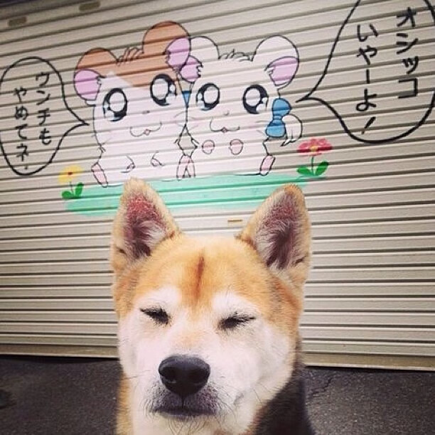 开云体育在线-冷门与接管，当速度与激情超越赛道的定义