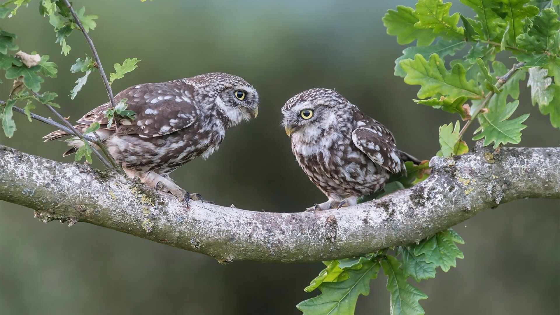 当埃菲尔铁塔遭遇红黑风暴,苏亚雷斯在巴黎的暮年,用一粒金子般的进球锁死圣西罗的叹息
