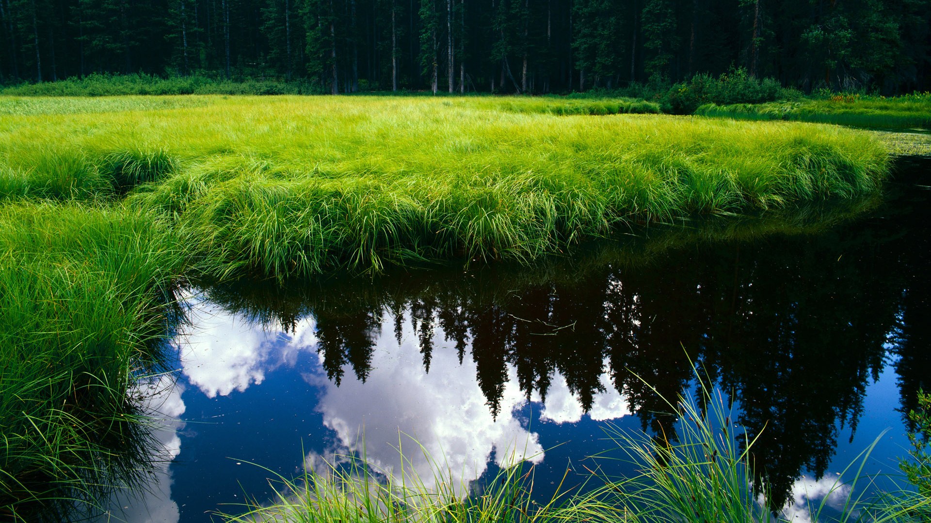 开云体育-当南美风暴遇上欧陆坚盾—李刚仁的一剑如何锻造智利与爱尔兰的胜负分野