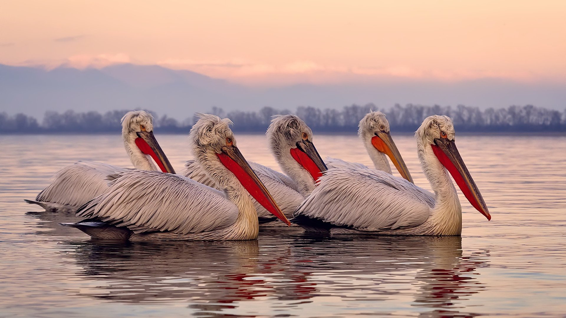 天赋觉醒双重奏，当塞内加尔遇见马丁内利