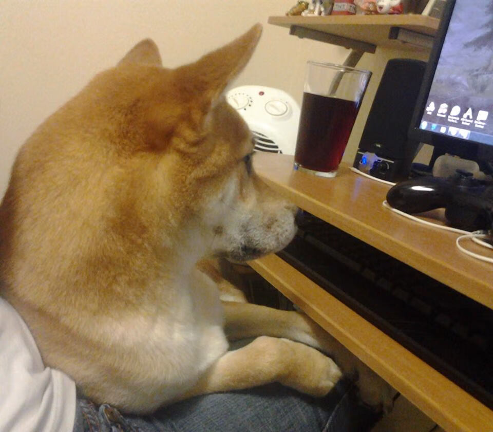 卢卡库独扛欧洲火种,友谊赛化身正名之战,一数据令全欧侧目