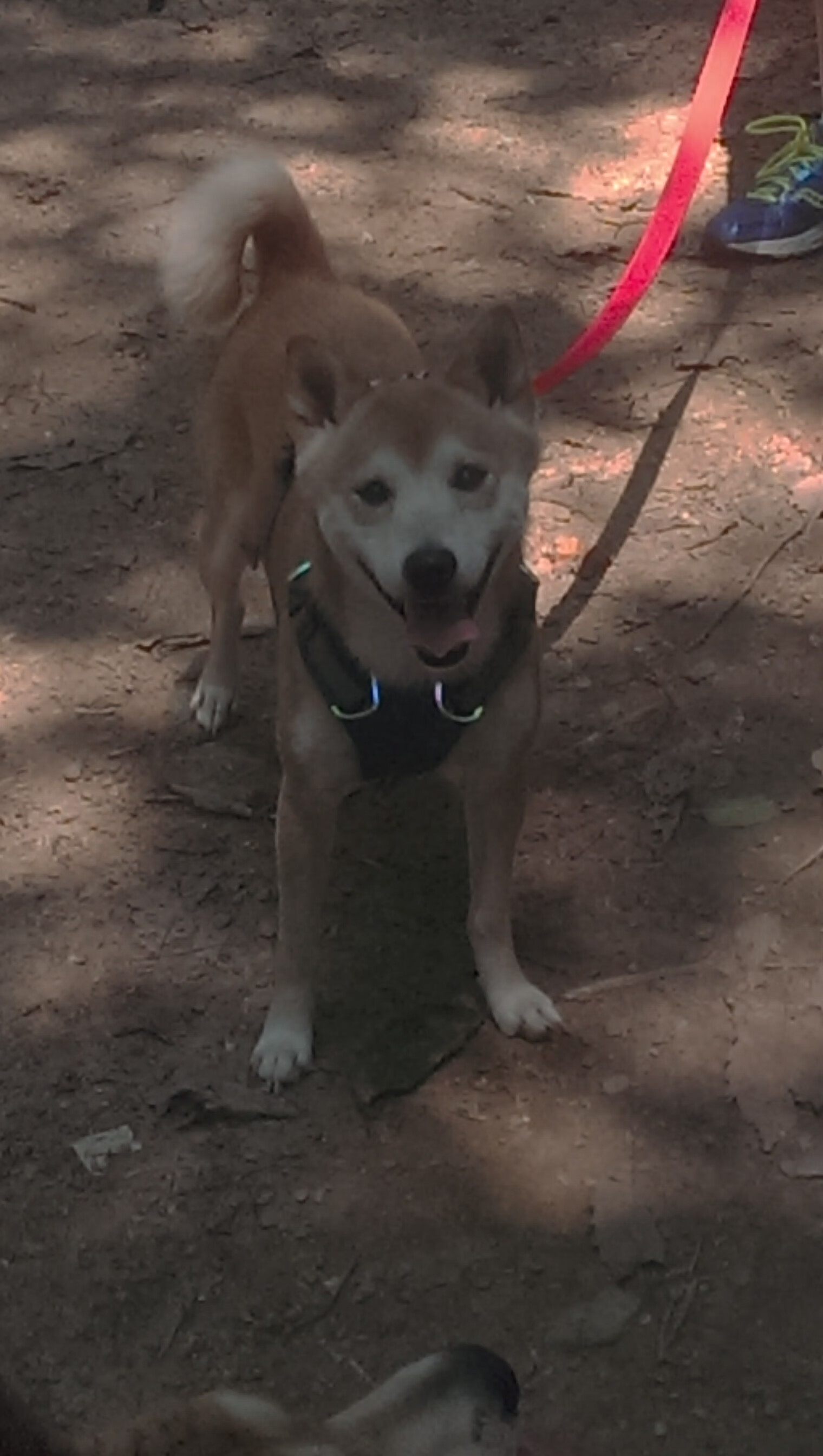 节奏之王，当热火灼烧的血液遇上公牛冻结的时间