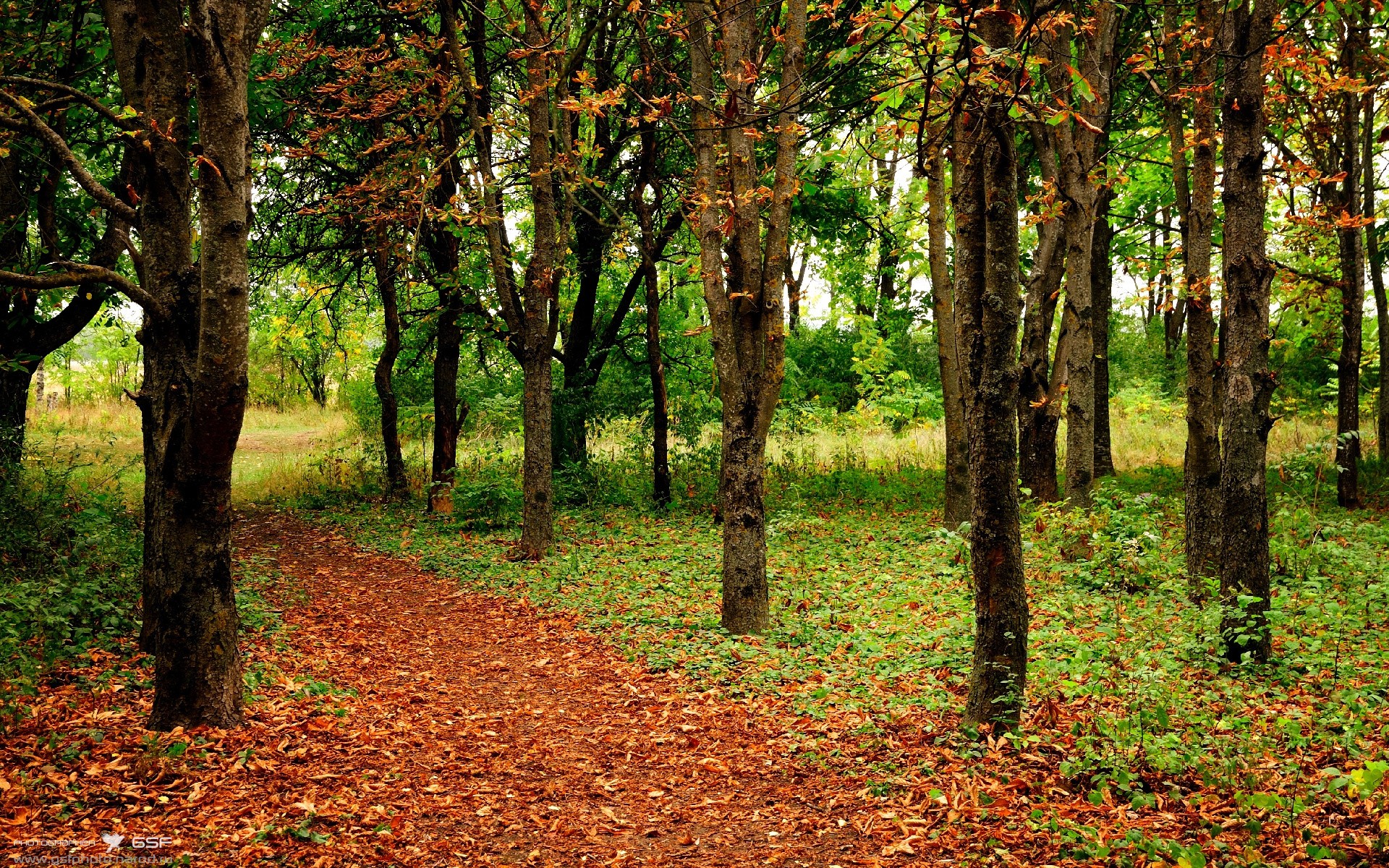 开云体育中国-美国资本与人才横扫德甲，多特蒙德陷入革新阵痛