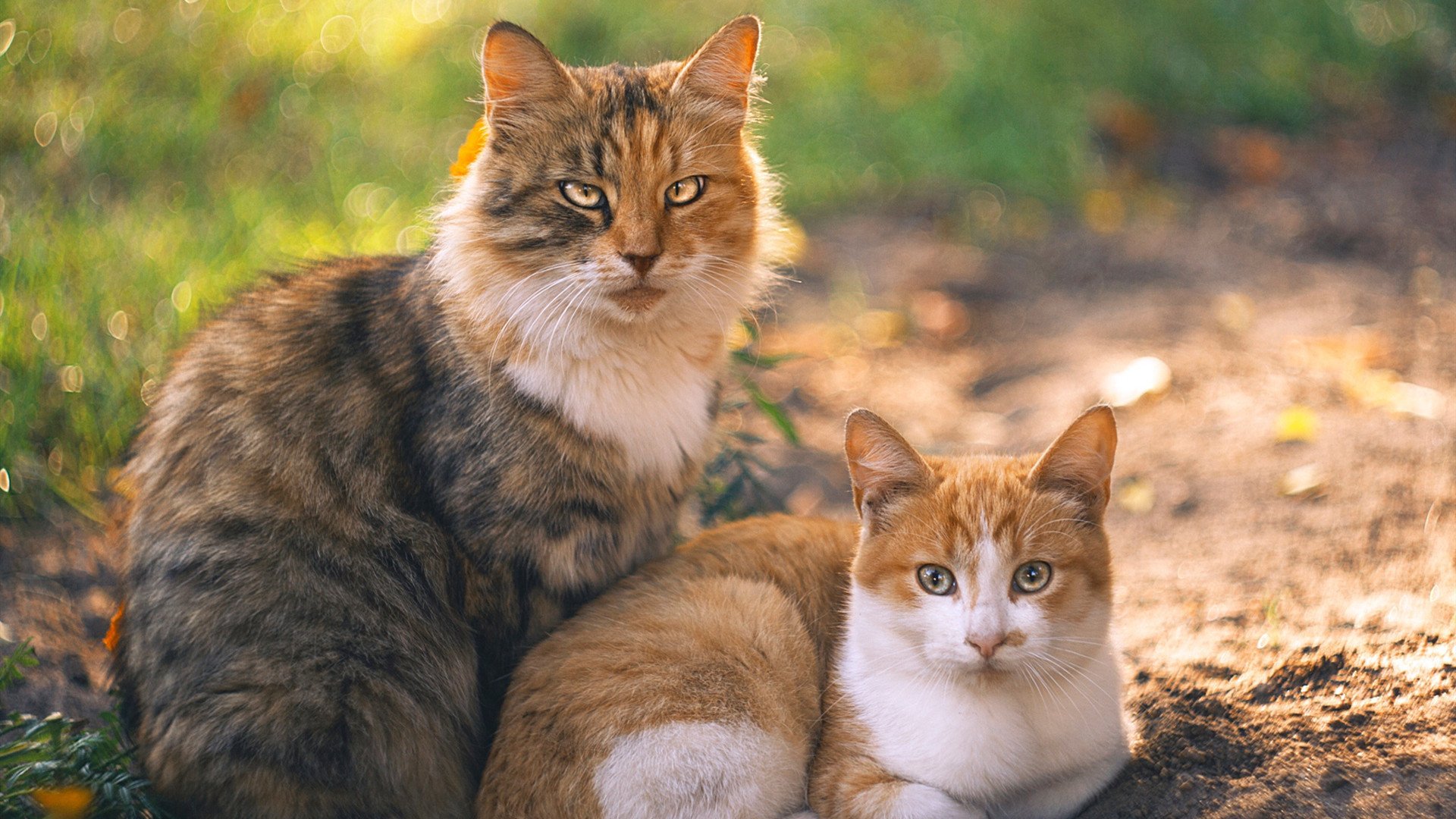 开云体育平台APP-基耶萨巨星光芒四射，巴拉圭对阵尼日利亚中的决定性表现