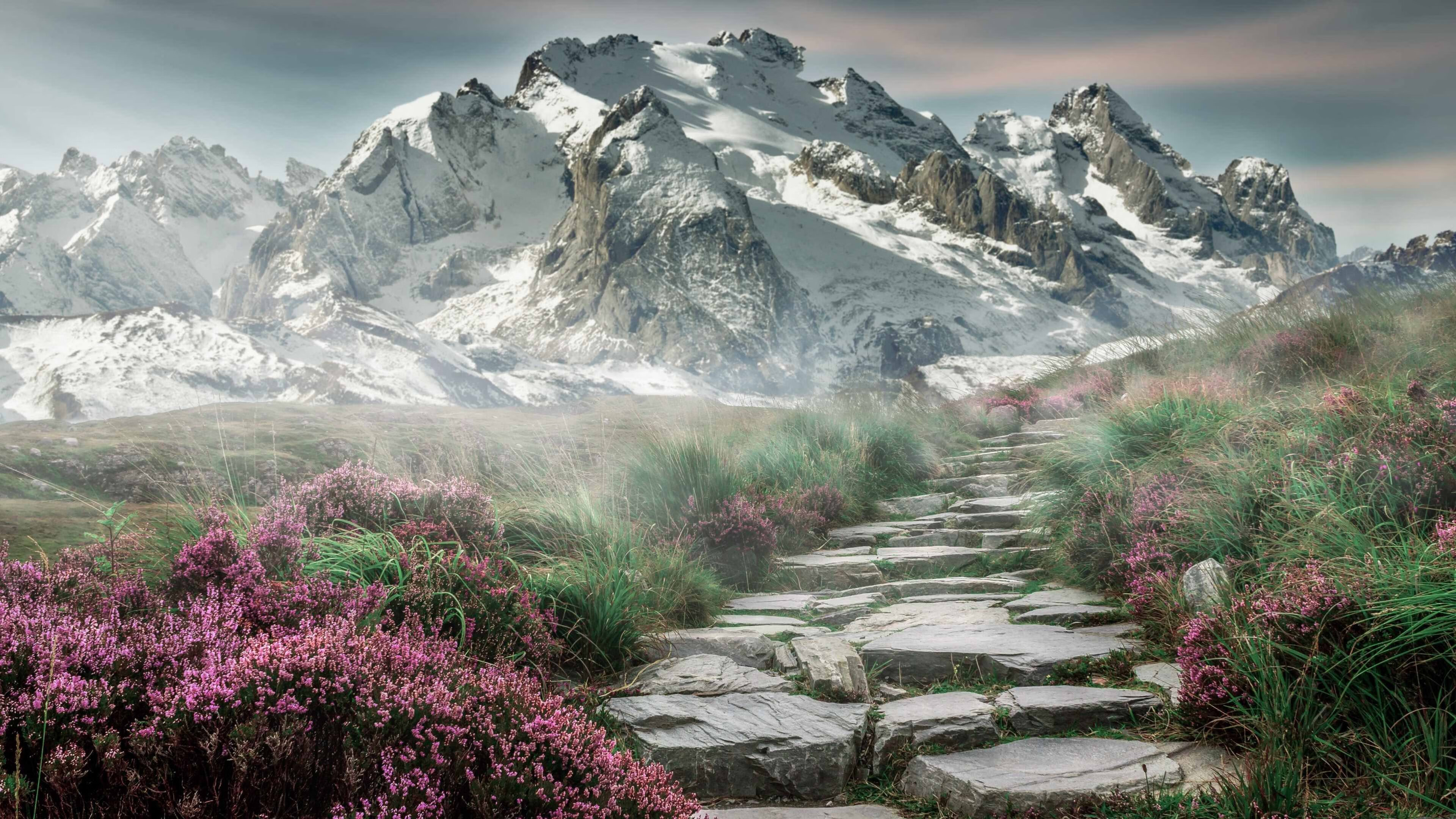 开云体育APP下载-穿透铁壁的意志，从科纳克里到NBA总决，凡人如何重写不可能