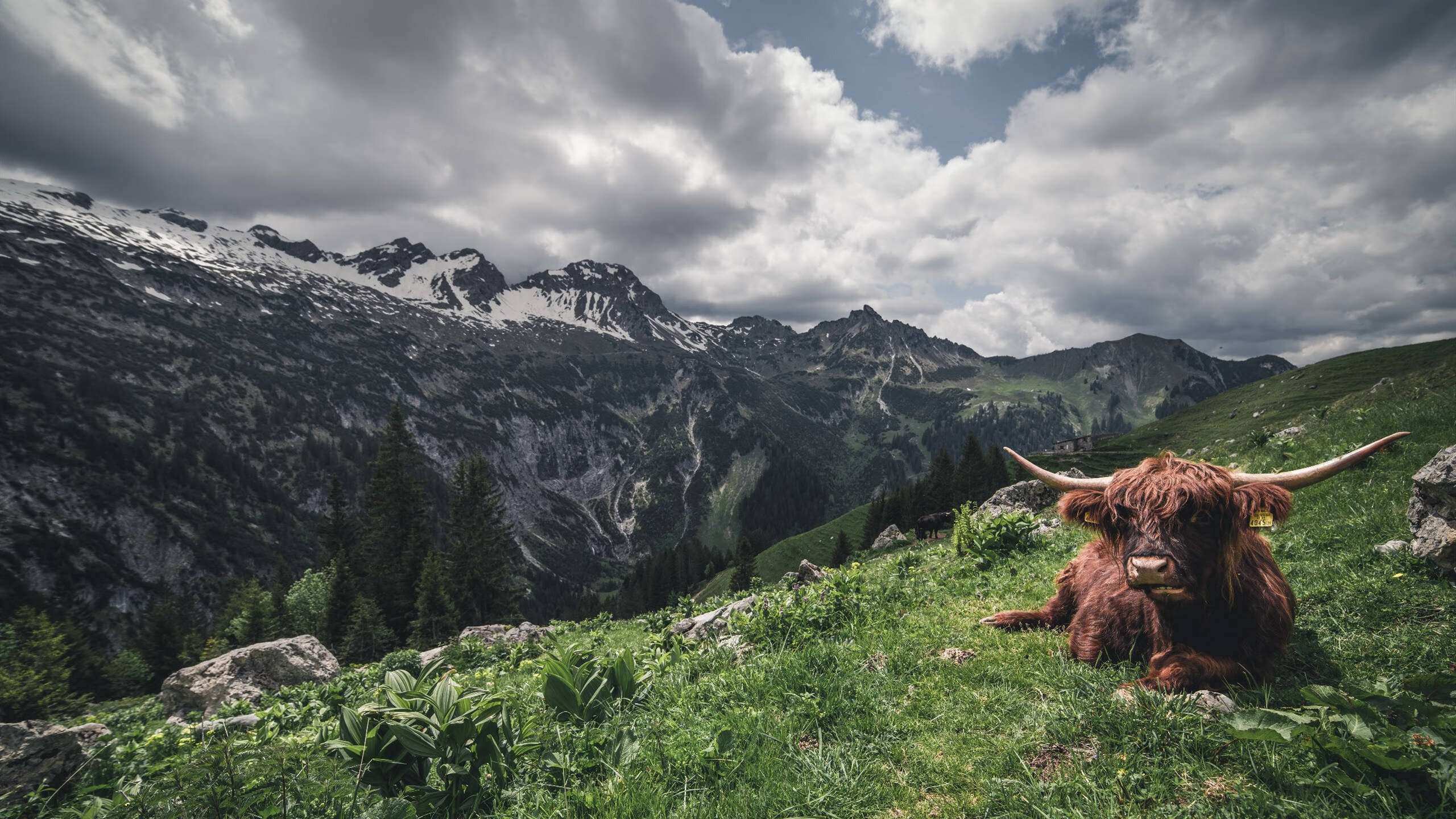 开云体育入口-冷门之夜，断矛重铸，奥利维耶如何用21分钟撕碎毕尔巴鄂百年防线？