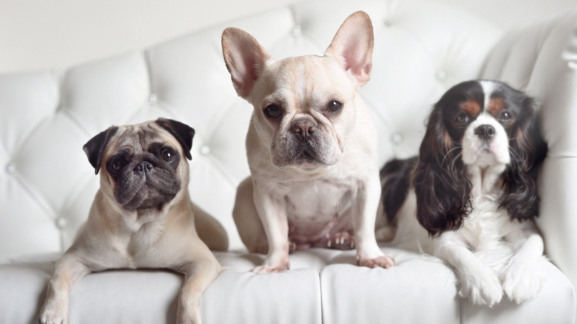 绝地反击,在星辰之海的尽头升起金靴勋章