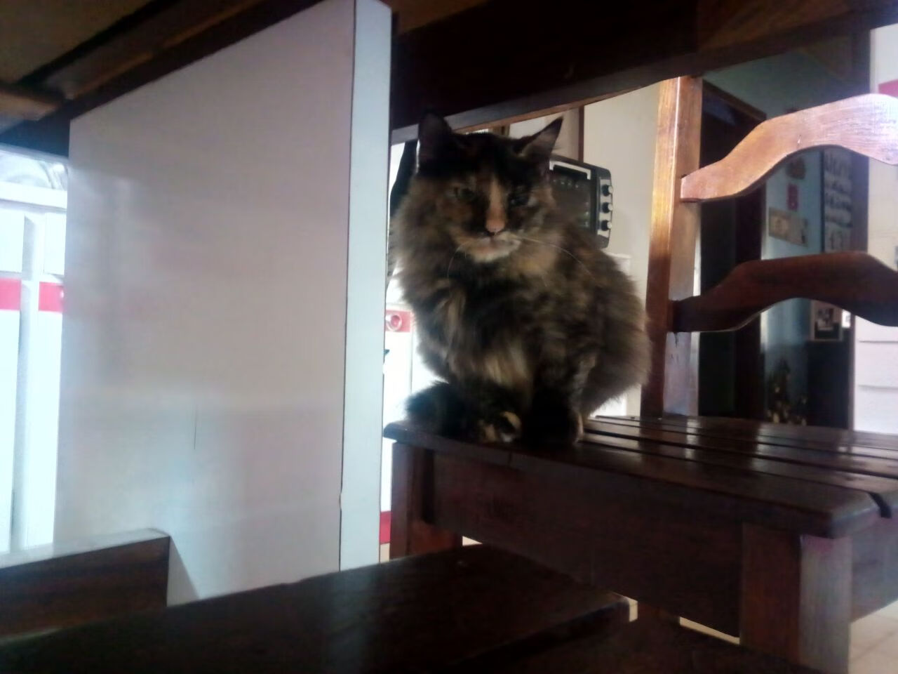 心跳归零前的一剑,雷恩如何用0.8秒终结与加拿大的七年恩怨?