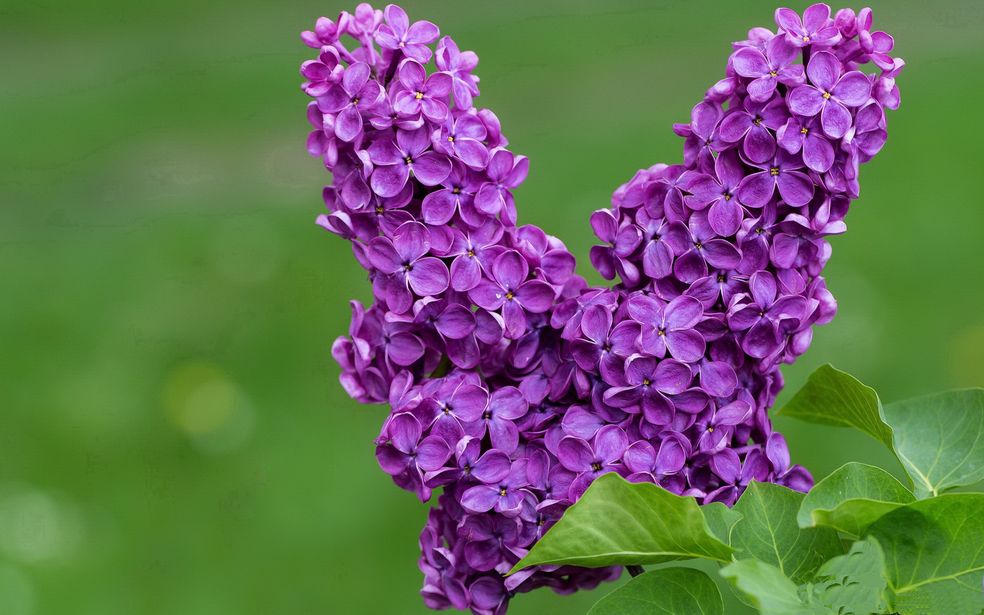 当凤凰城的蛛网笼罩夏洛特,马德里的手术刀切开僵局—体育英雄主义的隔空对话