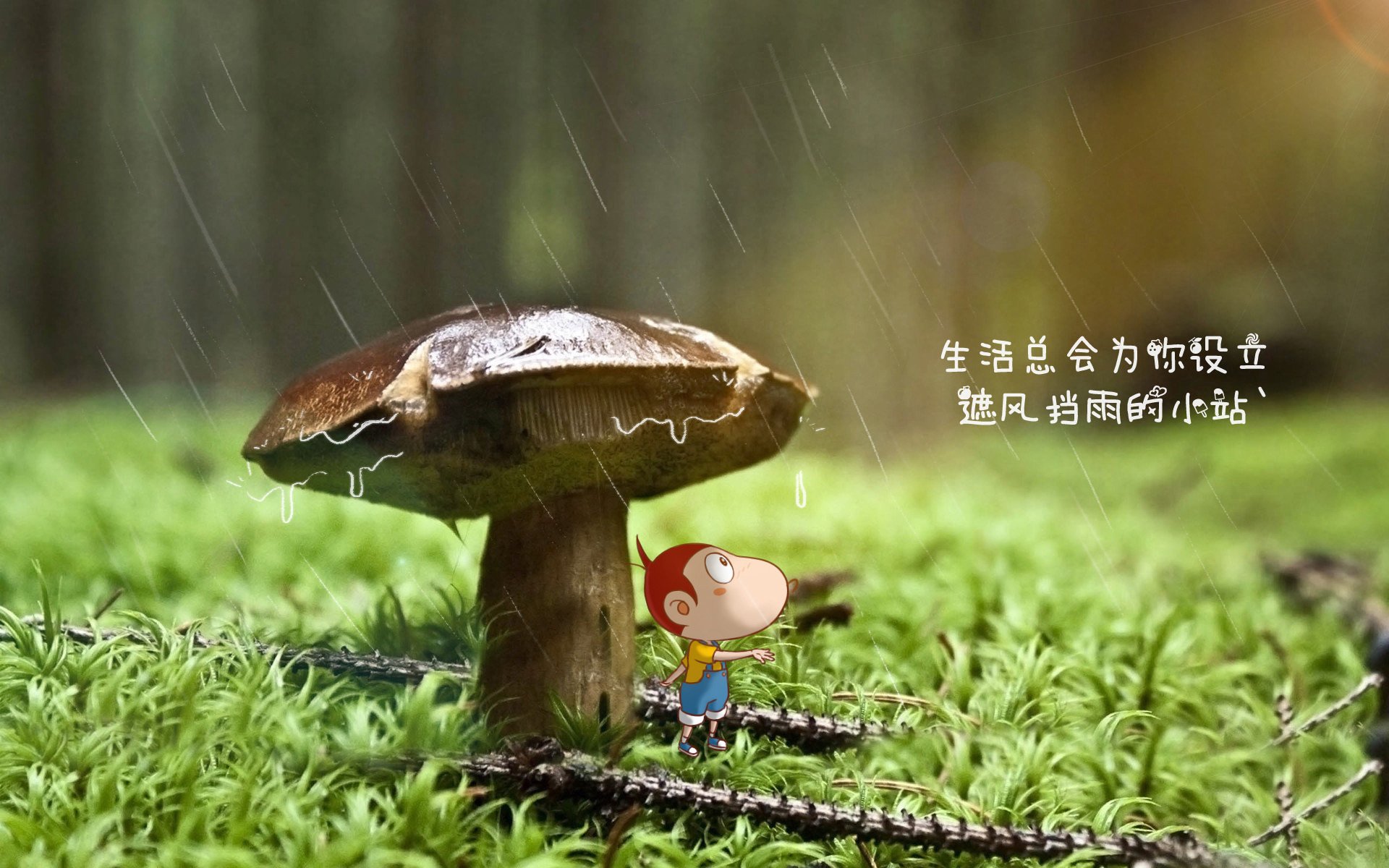 开云体育APP下载-绝杀之夜，2026世界杯，越南的奇迹与C罗的不朽