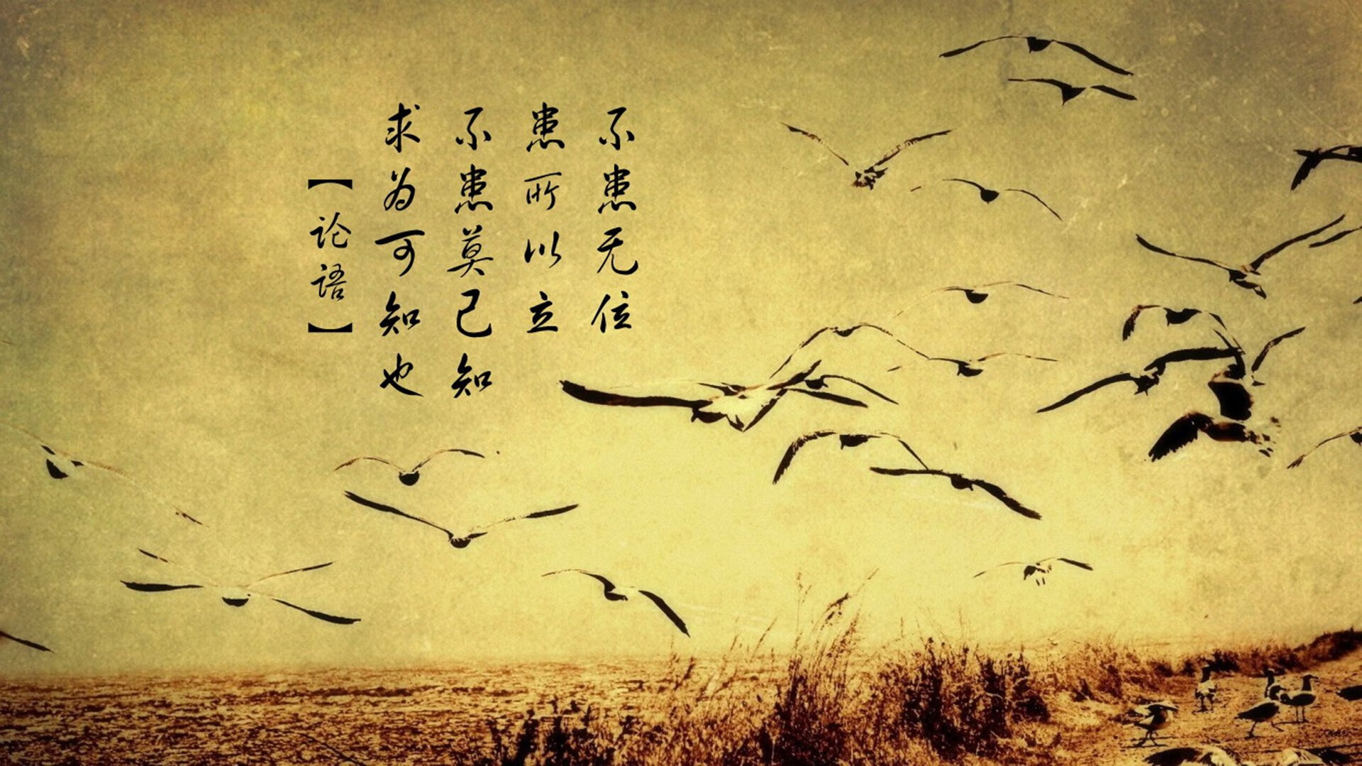 郁金香的致命一击，当齐耶赫的火花，燃尽高原最后的曦光