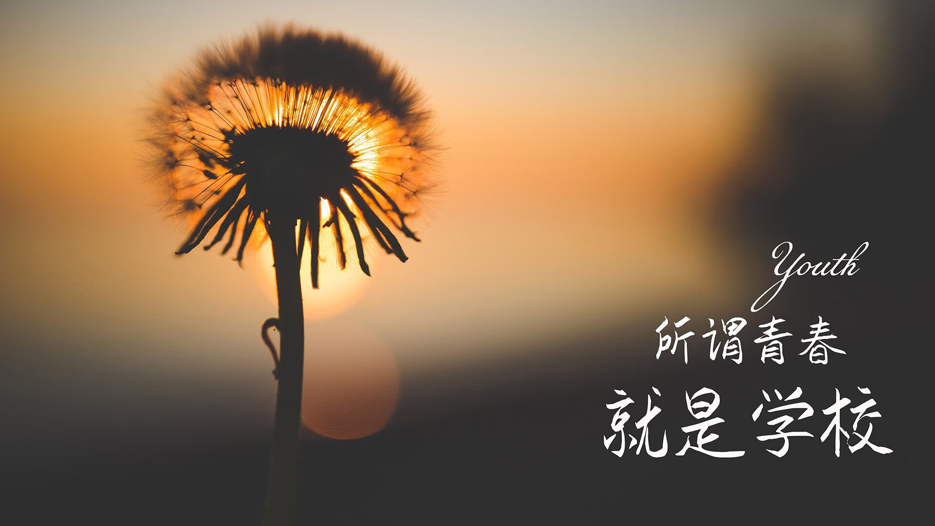 命运之夜的唯一剧本，2026世界杯B组，厄瓜多尔完胜波兰，梅西压哨绝杀定乾坤