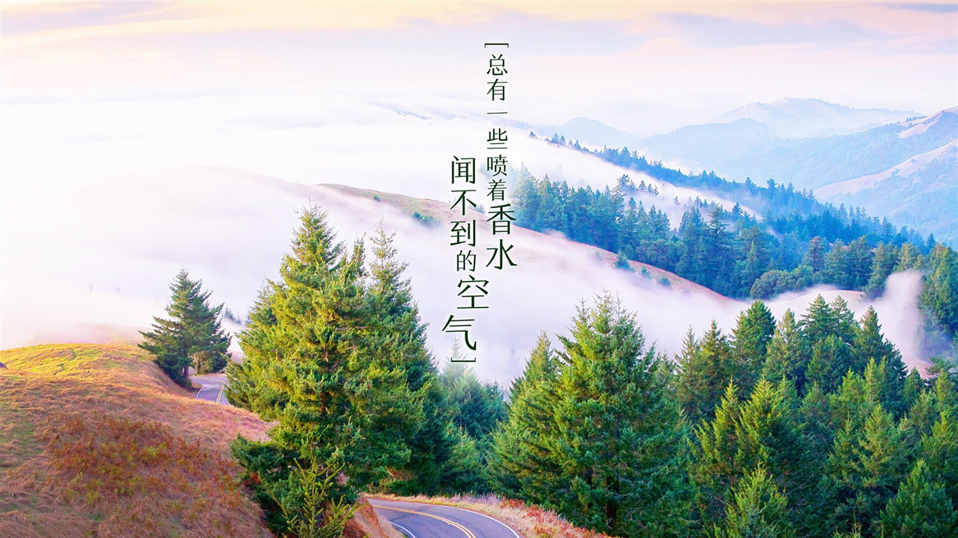 开云体育入口-波斯铁骑的绝地反击，2026世界杯B组焦点战，萨内导演史诗逆转，替补奇兵一剑封喉